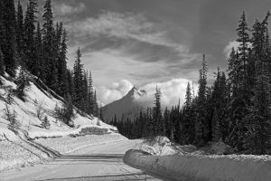 Trail to Medicine Lake - Jasper